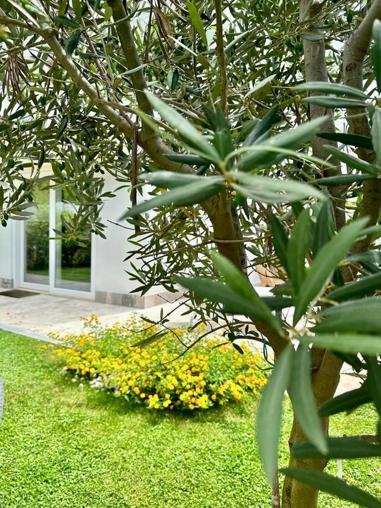 Casa Mila White Villa Marina di Cerveteri Eksteriør bilde